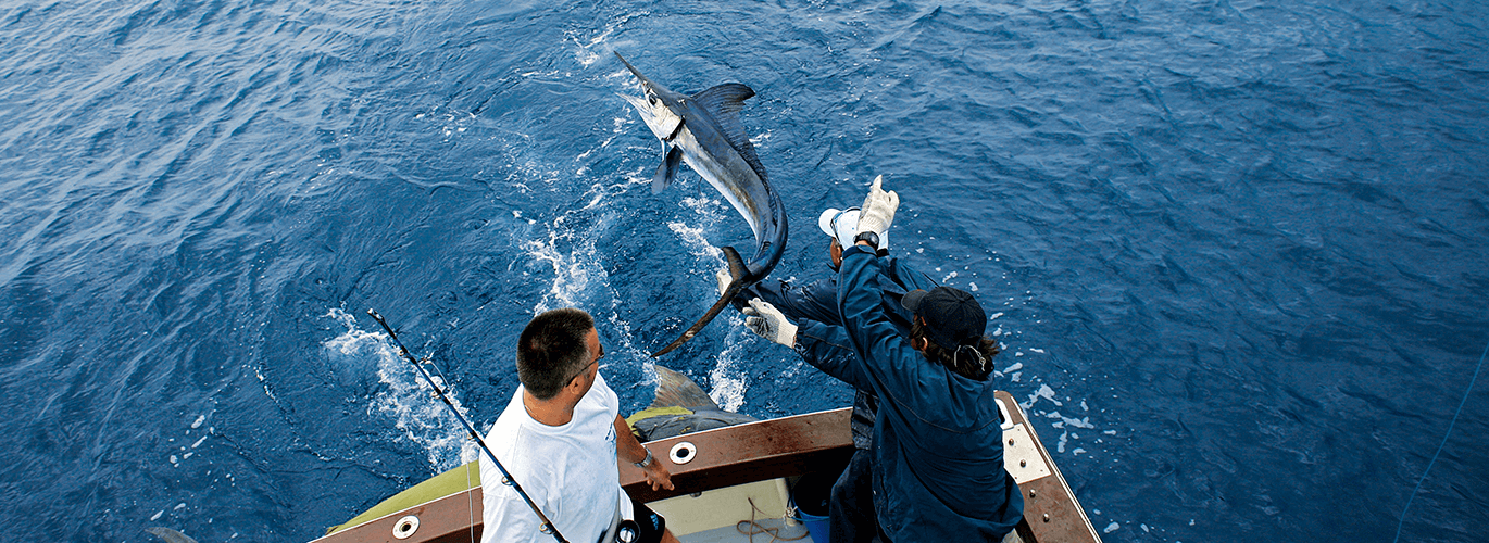 Pesca desportiva - Visit Azores